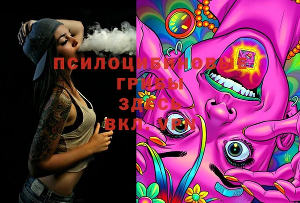 2c-b Балабаново